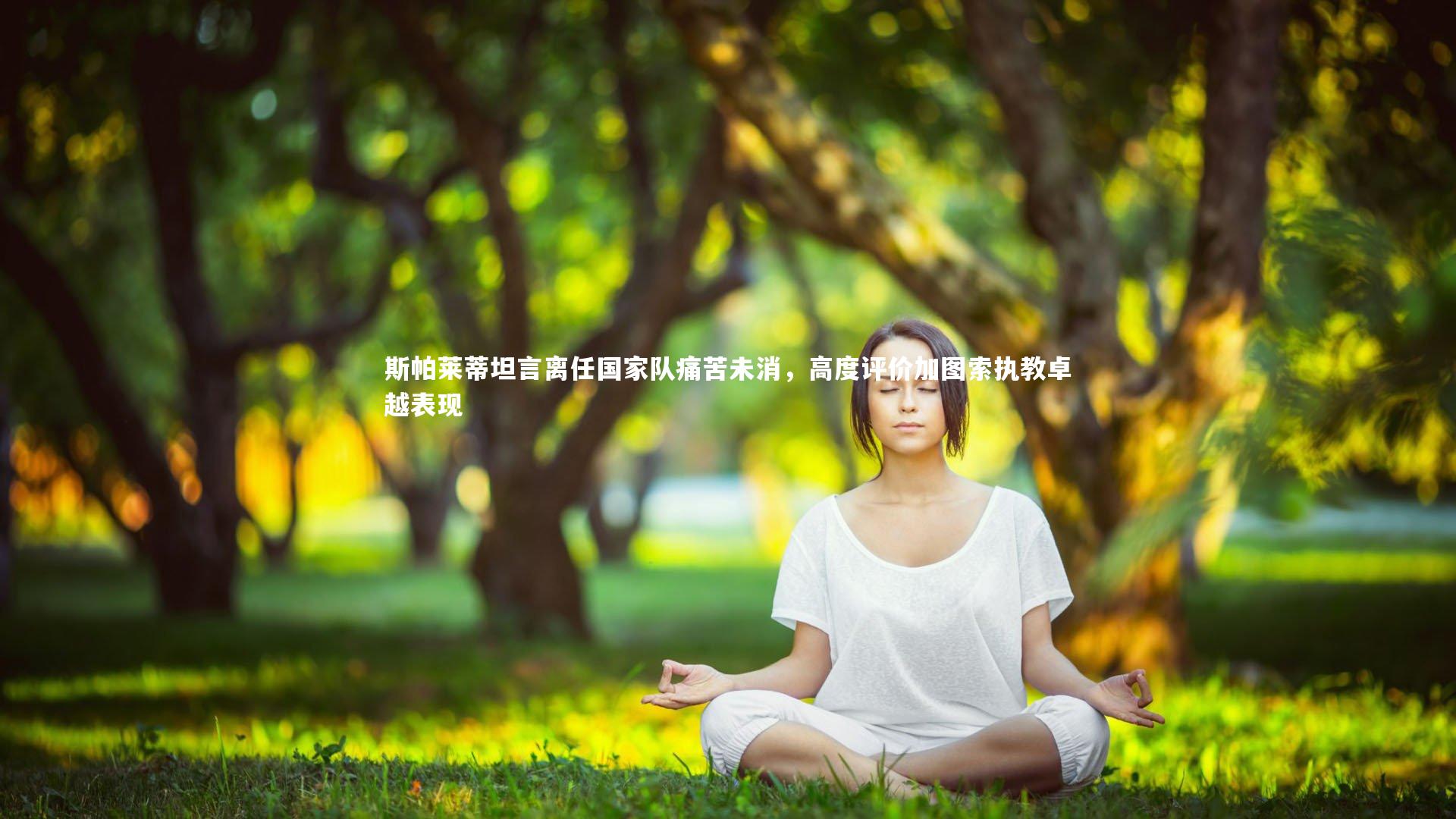 开云官网登录入口：斯帕莱蒂坦言离任国家队痛苦未消，高度评价加图索执教卓越表现