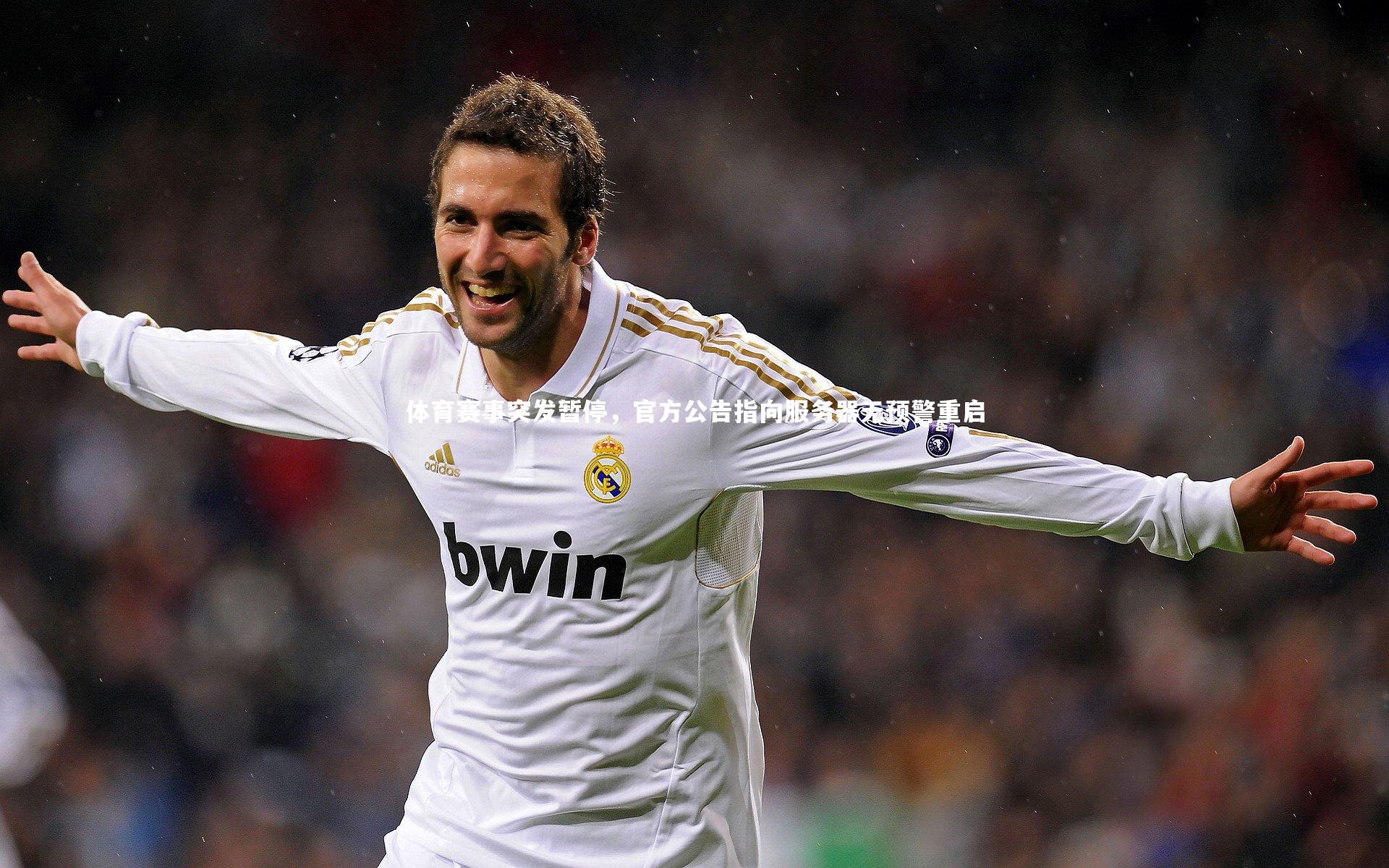 开云app：体育赛事突发暂停，官方公告指向服务器无预警重启