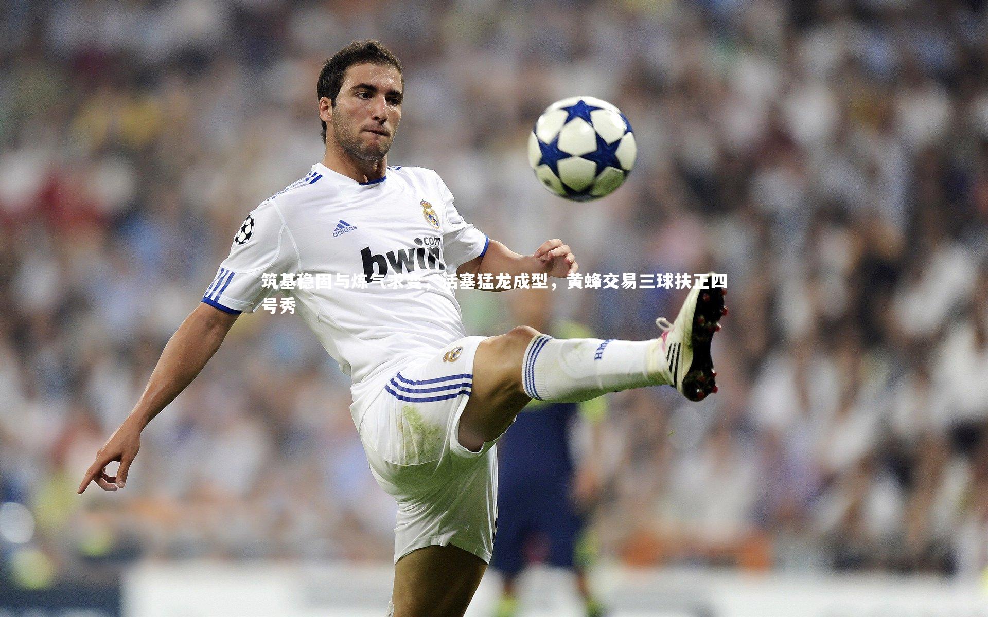 筑基稳固与炼气求变，活塞猛龙成型，黄蜂交易三球扶正四号秀