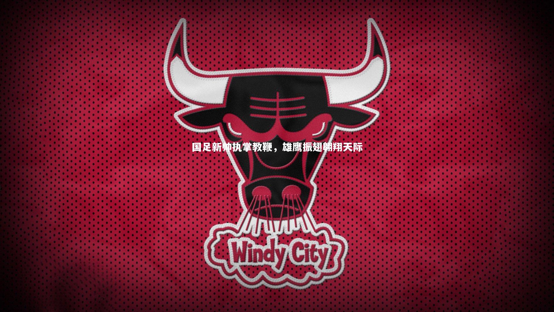 开云体育下载_国足新帅执掌教鞭，雄鹰振翅翱翔天际